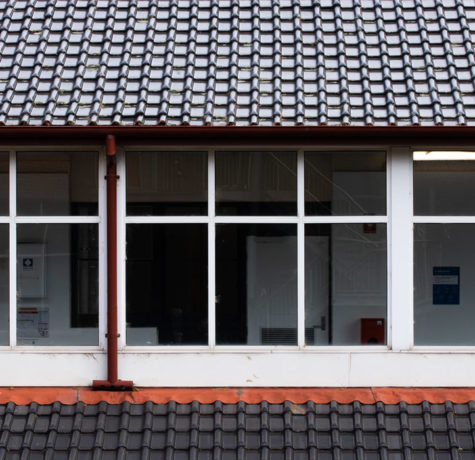 Roofing possit oportere percipit facilisi. 4